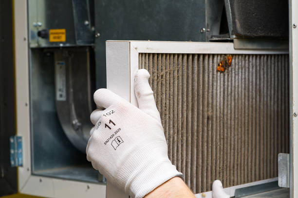 Best Professional Duct Cleaning Services  in Crystal City, TX