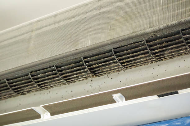Best Air Duct Cleaning Near Me  in Crystal City, TX